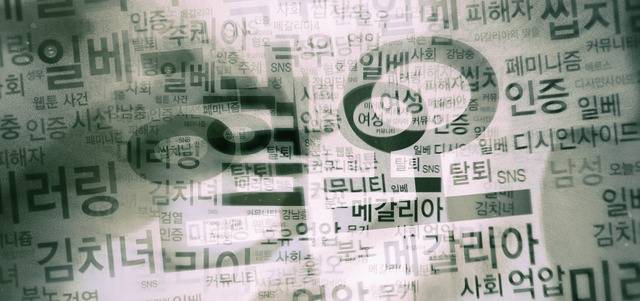 메갈리아의 ‘미러링’(일베 등이 사용하는 표현과 언어를 그대로 되돌려주는 방식)은 ‘새로운 여성운동’과 ‘여자 일베’란 양극의 평가를 받으며 여성차별 이슈를 가시권으로 밀어올렸다. 그래픽 송권재 기자 cafe@hani.co.kr