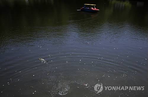 [AP=연합뉴스 자료사진]