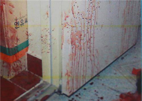 압력으로 혈액이 다량 분출된 비산혈흔의 모습 [서울지방경찰청 제공]