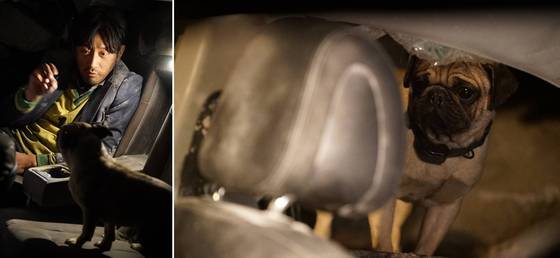 '터널' 하정우와 탱이의 스틸이 공개됐다. © News1star / 영화 '터널' 스틸