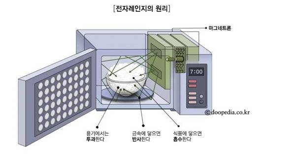 전자레인지의 원리 /두피디아 캡처