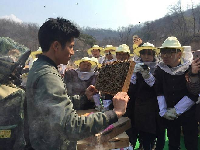 벌은 연기를 싫어한다. 훈연기를 사용해 벌을 잠시 벌집에서 나가게 한 다음 벌집을 검사한다. 사진기를 들고 기록 중인 최우리 기자. 어반비즈서울 박찬 제공
