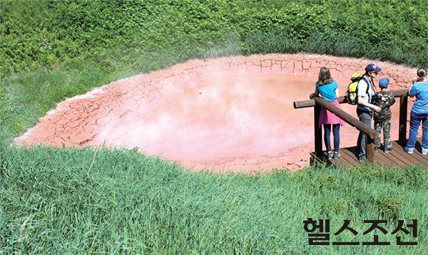 [헬스조선]캄차카 간헐천 계곡의 진흙 연못. 온도가 섭씨 70도가 넘기 때문에 발을 담갔다가는 큰 일 난다.