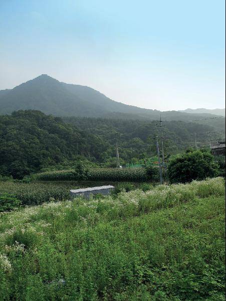 [월간산]석산2리 섬이마을에서 논골 건너로 본 봉미산(왼쪽)과 싸리골~놋동고개 방면(오른쪽).