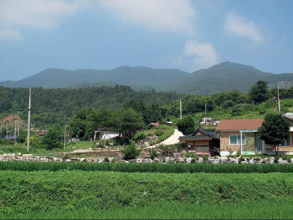[월간산]산음리에서 북서쪽으로 본 봉미산 전경과 정상(가운데). 왼쪽은 늪산(811.5m), 오른쪽 높게 보이는 봉은 정상 동릉이다.