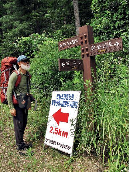 [월간산]비치골 차단기에서 18분 거리인 임도 삼거리 푯말. 이곳에서 왼쪽 ‘95 설곡 임도’라고 쓰인 방면은 놋동골로 가는 길이다.