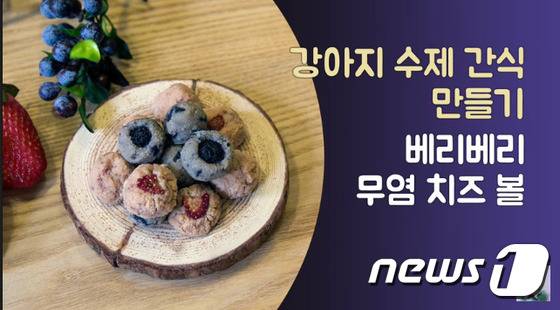 사진 은쌤의 강아지 수제간식 만들기 영상 캡처.(hows tv 제공)© News1