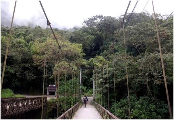 다리 건너 운명의 갈림길. 버스는 왼쪽으로, 도보 여행자는 오른쪽으로.
