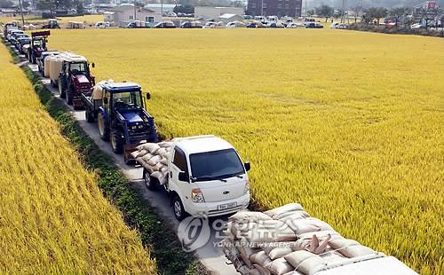 [연합뉴스 자료사진]