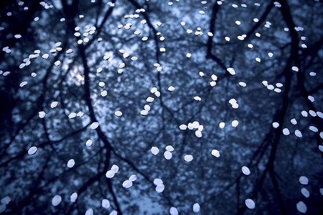 park, sang won 2007 KOREA, SEOUL NAM MOUNTAIN 1]