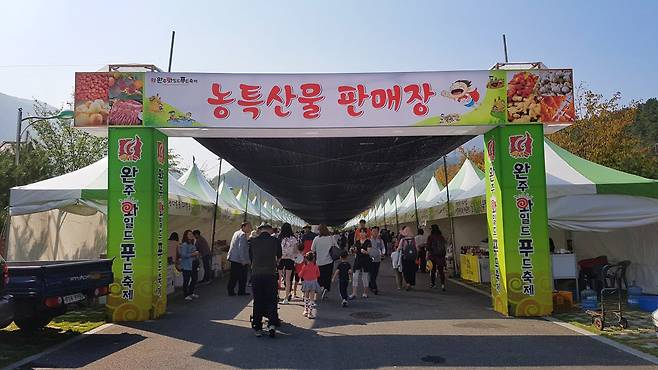 완주 와일드푸드 축제 로컬푸드 장터.