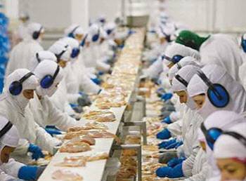 브라질의 닭고기 가공공장 풍경. ABPA 제공