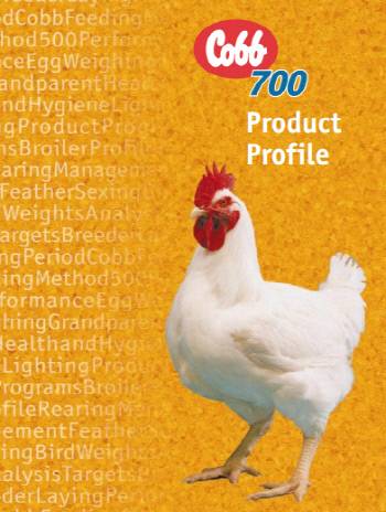 코브반트레스가 만든 코브700 품종.    | www.thepoultrysite.com