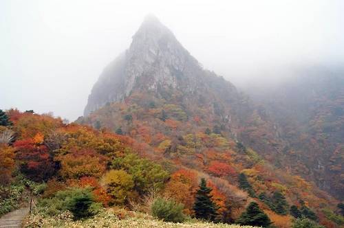 (제주=연합뉴스) 한라산 용진각 인근 삼각봉의 단풍. 2016.10.12 [제주도 제공=연합뉴스]