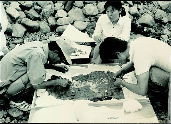 ⓒ연합뉴스 천마도 발굴 현장 모습. 문화재위원회는 제155호분의 이름을 천마총으로 바꾸었다.