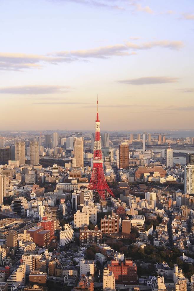 모리 미술관에서 바라본 도쿄타워.