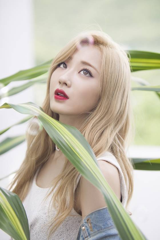 나인뮤지스 경리/사진제공=스타제국