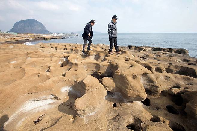 사계리 해안사구.
