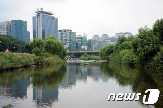 분당 맴돌공원 인근 탄천 모습(성남시 제공)© News1