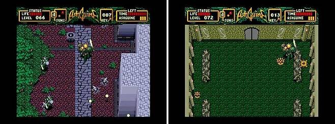 아슈기네 허공의 아성