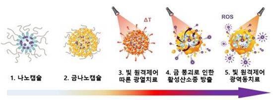 빛 원격제어를 통한 금/히알루론산 나노입자 기반의 스마트 금나노캡슐의 작용 모식도.