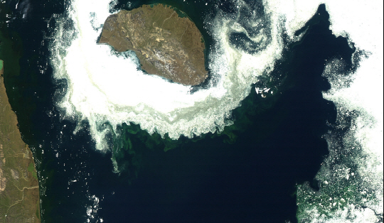 북극해의 러시아 브랑겔 섬 주변에 바닷말이 자라고 있다. 지구 온난화로 바닷말 농도가 가파르게 증가하고 있다./사진=뉴욕타임스
