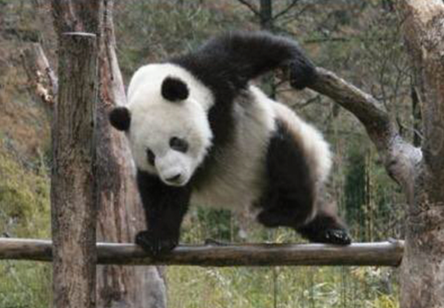 자네, 이제 본격적으로 연장(?)들고 먹으러 가보겠나./사진=온라인커뮤니티