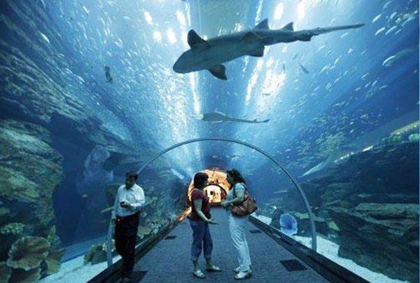 [사진 위티피드]