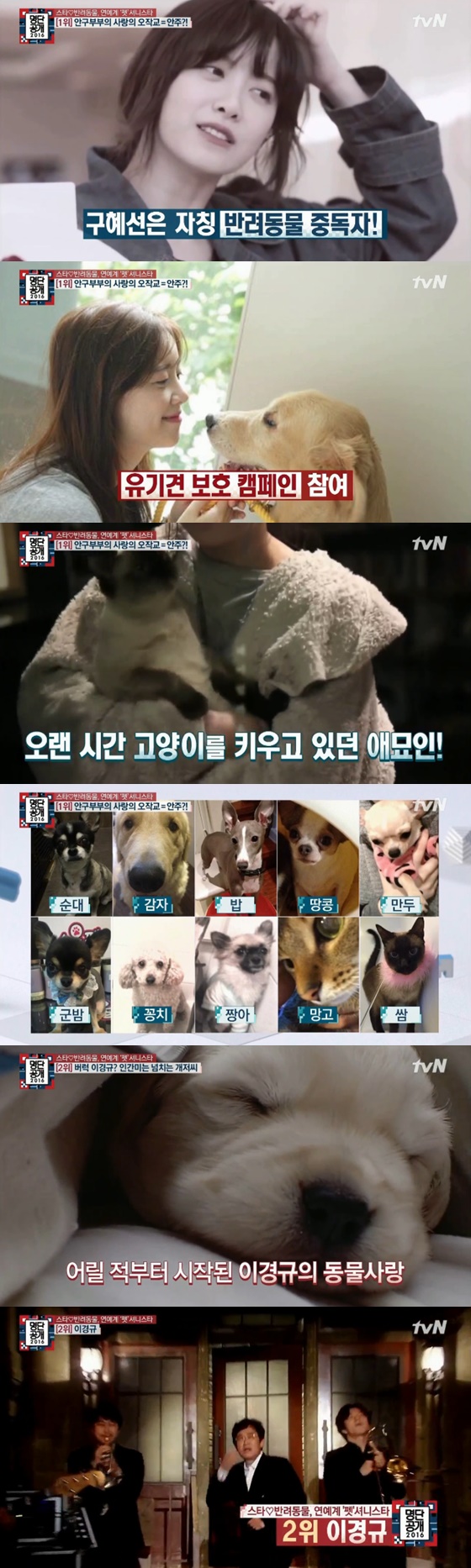 /사진=tvN '명단공개' 방송화면 캡처
