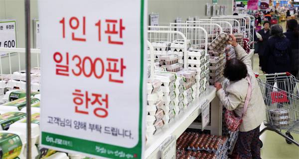 고병원성 조류인플루엔자(AI) 확산으로 시중 달걀 부족 현상이 심화되자 일부 대형마트에서 판매 수량 제한 조치를 시작한 가운데 22일 오전 서울 시내 한 대형마트에서 한 시민이 달걀을 고르고 있다. [이승환 기자]