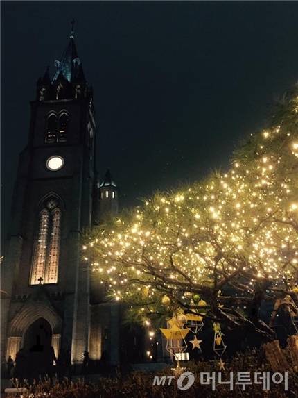 천주교 서울대교구 주교좌 명동대성당 앞 키 작은 나무에 세월호 희생자 중 미수습자들을 상징하는 노란색 종이배 9개가 설치됐다/사진제공=천주교 서울대교구