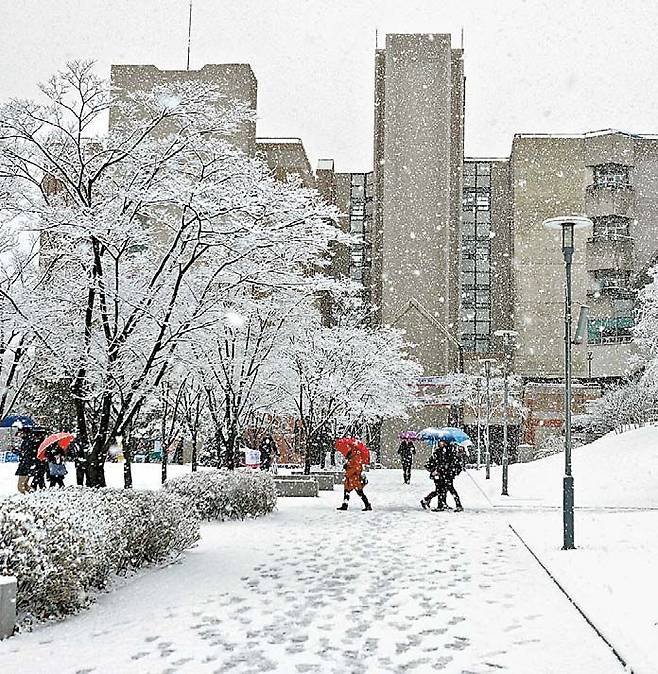 고려대 세종캠퍼스 교정. 이 대학은 고속열차 SRT 개통으로 서울과의 접근성이 좋아졌다. [사진 고려대]