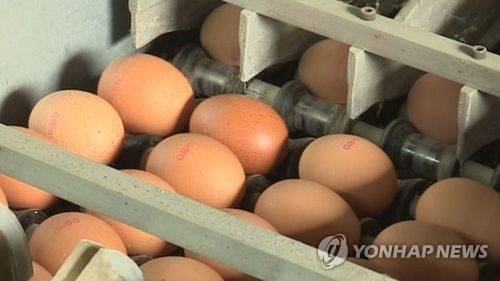 [연합뉴스=자료사진]