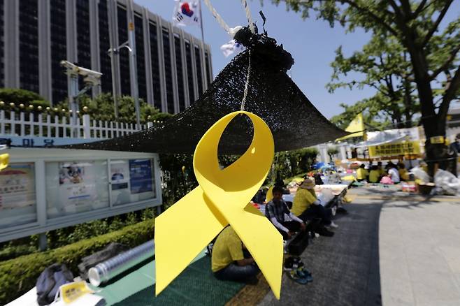 416가족협의회 회원들이 지난해 6월26일 오후 서울 종로구 세종로 정부서울청사 앞에서 세월호특별법 개정을 요구하며 노숙농성을 하고 있다. 세월호 유가족들이 청사 앞 은행나무에 매단 노란리본이 바람에 날리고 있다. 김명진 기자 littleprince@hani.co.kr