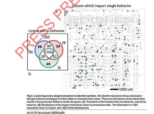 [Credit: Eric Jonas, CC-BY] [서울=연합뉴스]    6502 마이크로프로세서의 트랜지스터를 하나하나 파괴시켜 가며 나타나는 변화를 관찰해 각 트랜지스터의 기능을 파악하려고 시도했으나, 의미 있는 이해에 이르지 못했다.