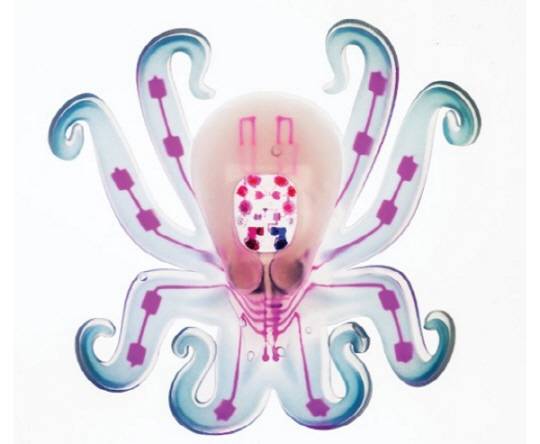 문어처럼 흐물거리며 움직이는 옷토봇이 개발됐다. 이 옥토봇은 과산화수소를 내부로 주입하면 백금과 만나 가스를 발생시키는 원리로 작동한다.