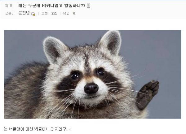 니가 뭔데/인터넷 캡쳐