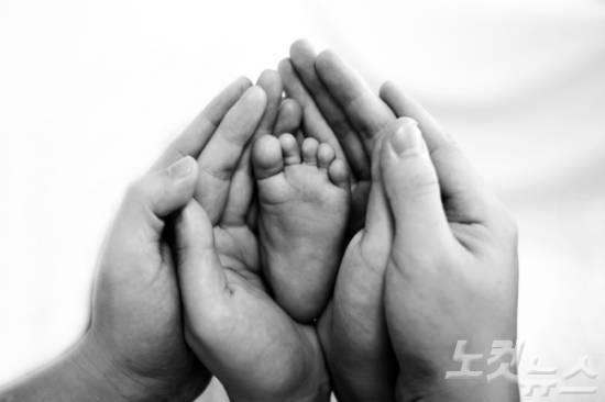 (사진=스마트이미지 제공)