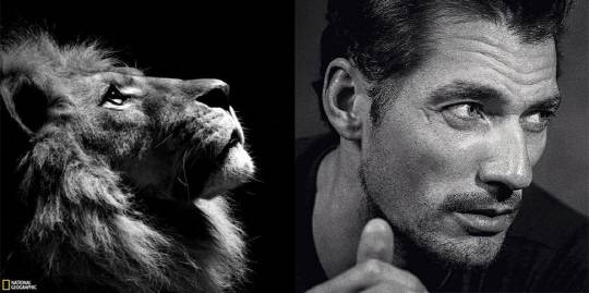 사진출처=(좌)내셔널 지오그래픽