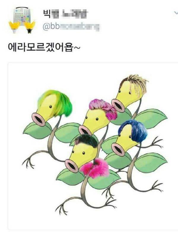 사진|트위터 갈무리