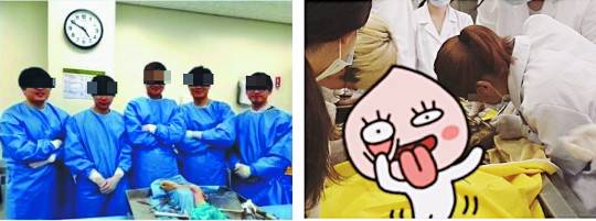 서울의 한 의과대학 해부학교실에서 열린 카데바 워크숍 도중 시신 앞에서 의사들이 촬영한 사진. 오른쪽은 간호학과 학생이 인스타그램에 시신 해부 장면을 찍고 캐릭터로 시신을 가린 사진. 기증받은 해부용 시체로 인증사진을 찍는 등의 행위는 위법 소지가 있다.