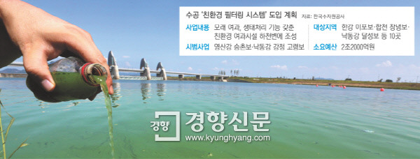 경향신문 그래픽