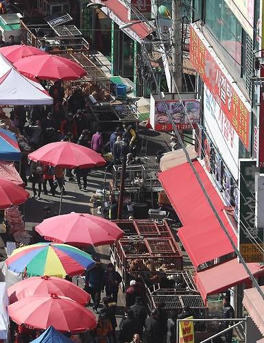 (성남=연합뉴스) 홍기원 기자 = 24일 오일장을 맞아 경기도 성남시 모란시장 내 가축시장 주변이 분주하다. 전국 최대 '개시장'으로 꼽히는 모란시장이 27일부터 개 판매시설 자진정비에 나선다. 2017.2.26   xanadu@yna.co.kr