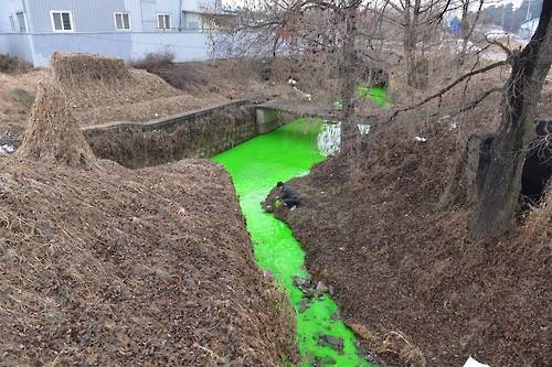 (남양주=연합뉴스) 2일 오전 경기도 남양주시 도심천에서 녹색 화학물질이 유출돼 흐르고 있다.2017.3.2 [남양주소방서 제공=연합뉴스]