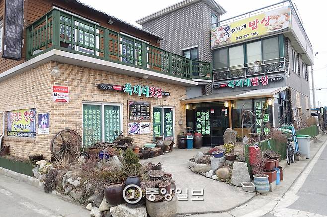 ‘옥이네밥상’ 마당에 가득한 화초들은 겨울을 나느라 실내로 들어가거나 땅속에서 봄을 기다리고 있다.