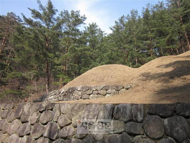 ③ - 영경묘. 이양무의 부인 삼척 이씨의 묘소다. 산비탈 가파른 곳에 무덤을 쓰는 바람에 제각(祭閣)과 비각(碑閣)은 훗날 100m쯤 떨어진 산 아래 세웠다. ③ - 영경묘. 이양무의 부인 삼척 이씨의 묘소다. 산비탈 가파른 곳에 무덤을 쓰는 바람에 제각(祭閣)과 비각(碑閣)은 훗날 100m쯤 떨어진 산 아래 세웠다.