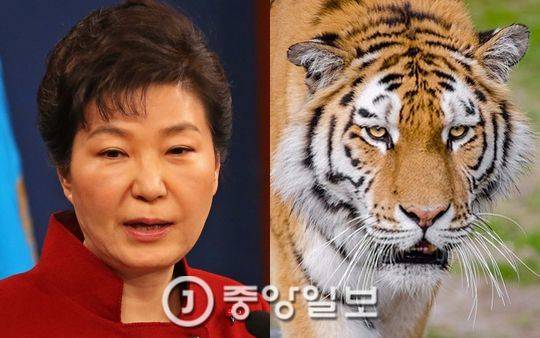 박근혜 대통령.