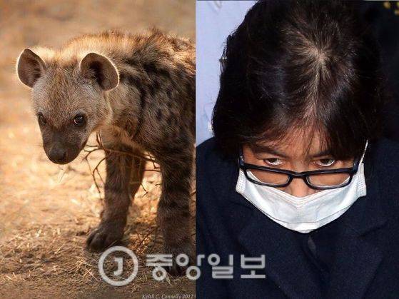 최순실