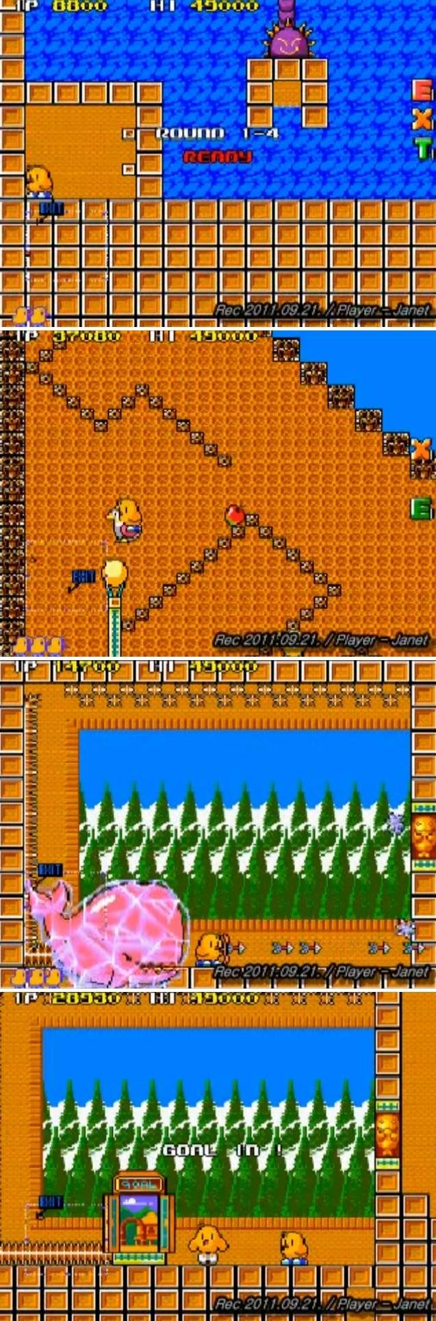 뉴질랜드 스토리