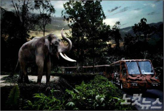 어둠 속에서 야생동물들과 조우할 수 있는 나이트 사파리. (사진=땡처리닷컴 제공)